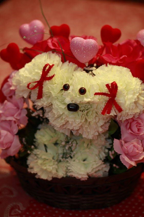 Valentine Puppy $24.95 + $10 for Shipping